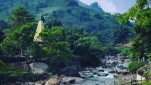  Darjeeling mandarin orange and lemon orchards with GI tag visit without sitting