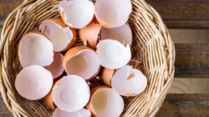 Cleaning Tips knowing these uses of eggshells you will no longer throw them away