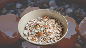 Cleaning Tips knowing these uses of eggshells you will no longer throw them away