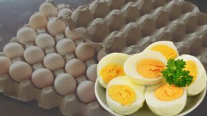 Health no scientific basis FSSAI dismisses egg-cancer claim