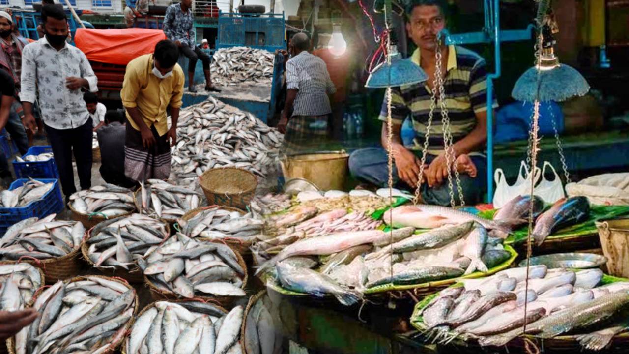 Hilsa fish keep these 5 important tips in mind when buying
