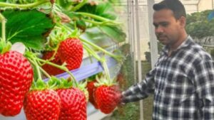 Dheeraj Verma's Success Story will amaze you.