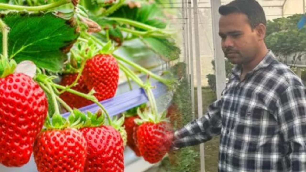 Dheeraj Verma's Success Story will amaze you.