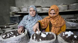 Asiya's Success Story will amaze you.