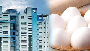 Egg Price Probe Intensifies at Nabanna