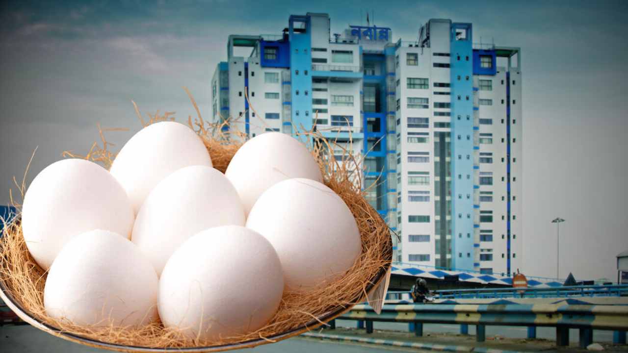 Egg Price Probe Intensifies at Nabanna