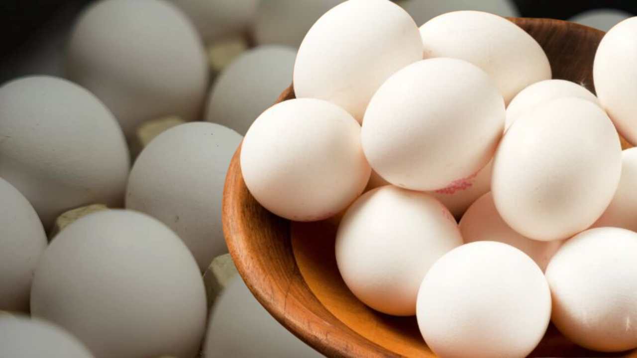 Egg Price Hike This Winter 2025