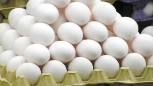 Egg Price Hike This Winter 2025