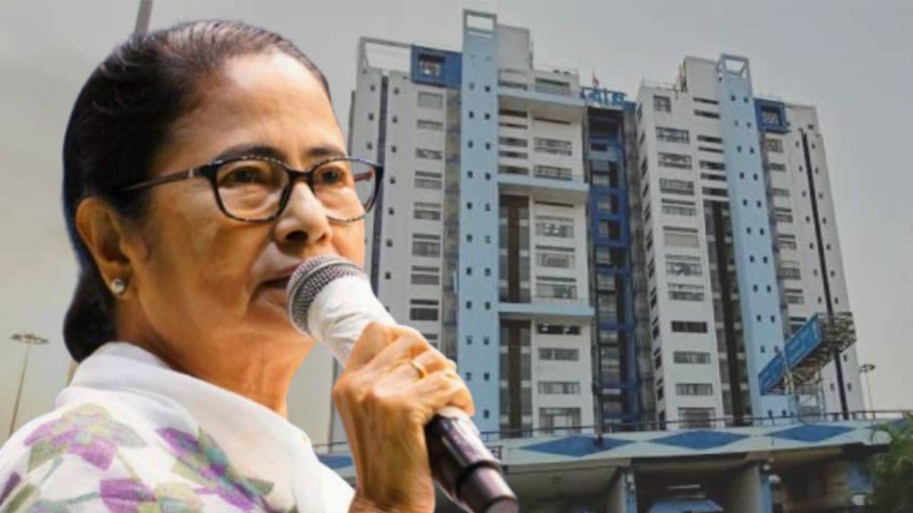 government holiday(11)