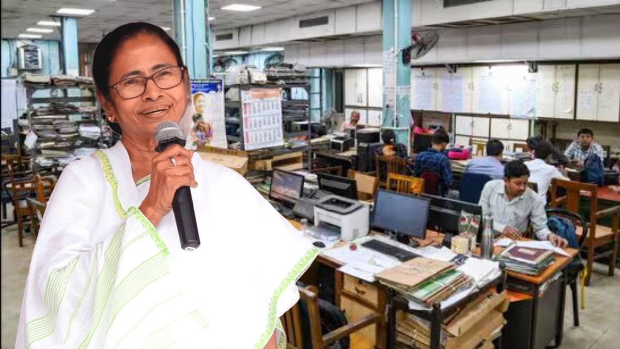 government holiday(12)