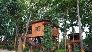 Bakura planning a long drive take a trip to the Dooars region of South Bengal