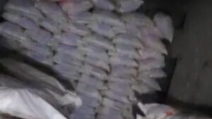 Explosive Recovered Massive Cache Found Ahead of Republic Day