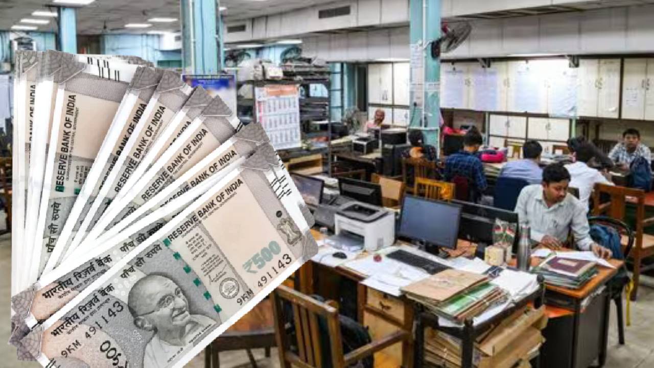 Government Employees(37)