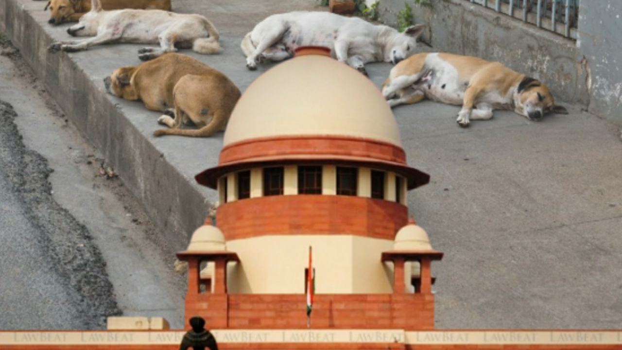 পথকুকুরের কামড়ে মৃত্যু হলে ক্ষতিপূরণ দেবে রাজ্য সরকার, স্পষ্ট নির্দেশ দিয়ে কুকুরপ্রেমীদেরও কড়া বার্তা সুপ্রিম কোর্টের