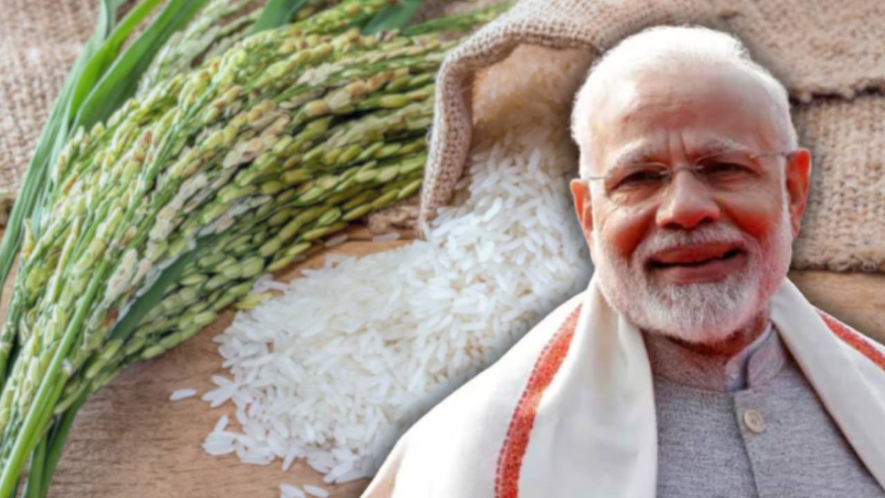 Huge increase in India rice exports.