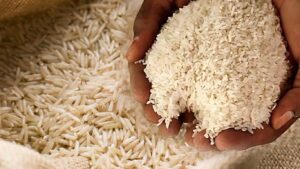 Huge increase in India rice exports.