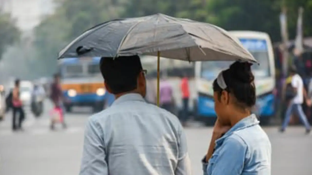 South Bengal Weather Update 31st January 2026