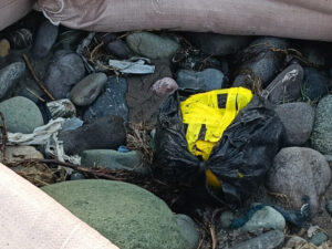 A Pakistani drone entered India in the new year and did this.