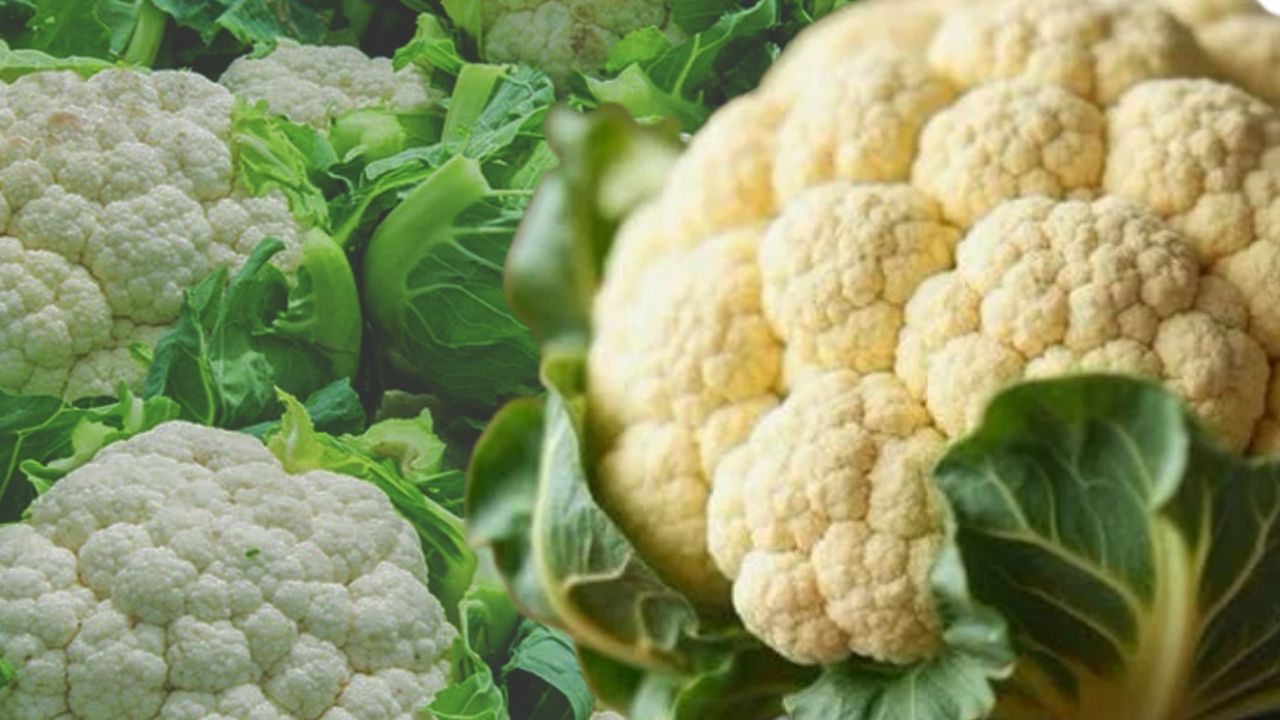 Cooking Tips stomach problems after eating cauliflower know the solution