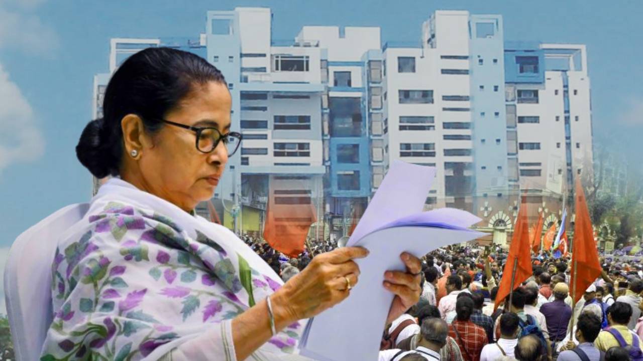 government employees(29)