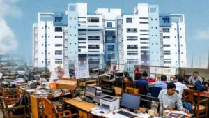 government holiday(15)