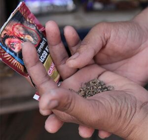Tobacco Banned in this neighboring state of Bengal.