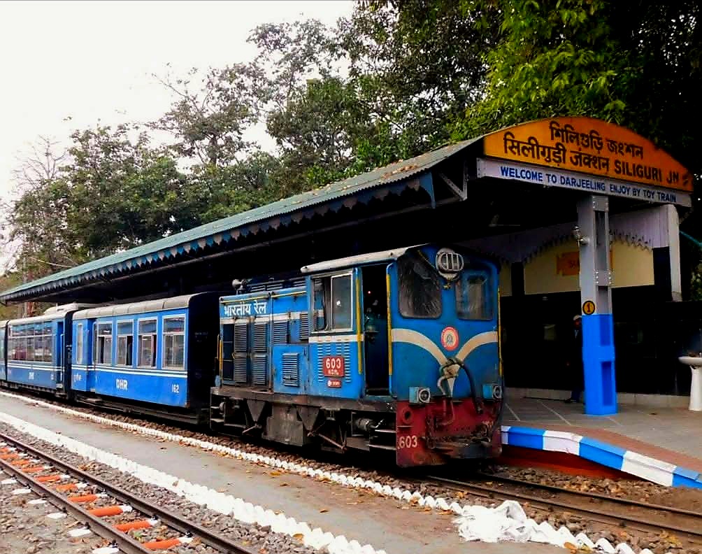 Special joyride in toy train from siliguri 