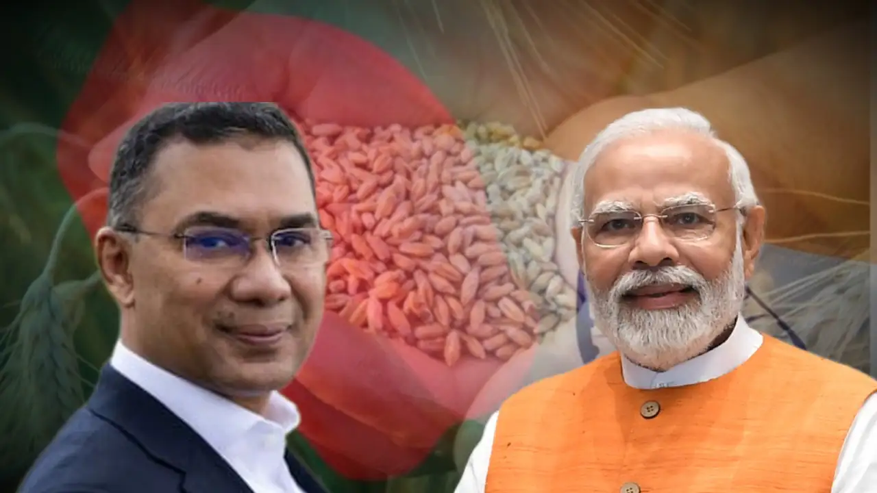 পড়শি দেশে পালাবদলে বন্ধুত্বের বার্তা ভারতের? বাংলাদেশে গম রফতানিতে উঠল নিষেধাজ্ঞা