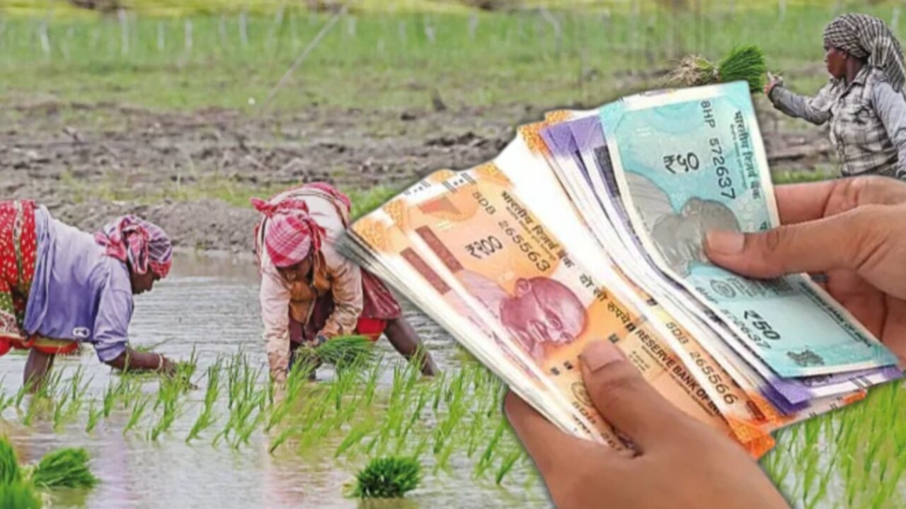 Check Krishak Bandhu Scheme Status Online Easily