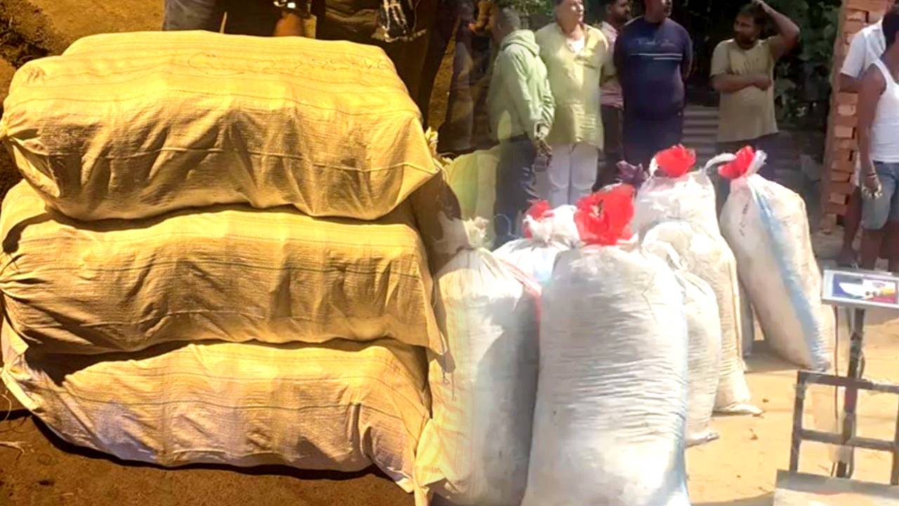 Barasat police recovered cannabis from drug trafficking ring