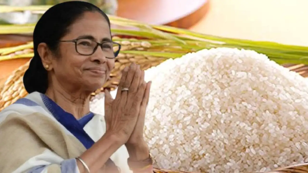 Mamata Banerjee happy with 'Heritage' recognition for 3 rice fields including Govind Bhog, says united nations