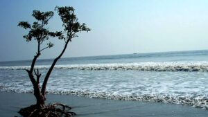 Travel take a weekend trip to an island near Kolkata with your loved ones