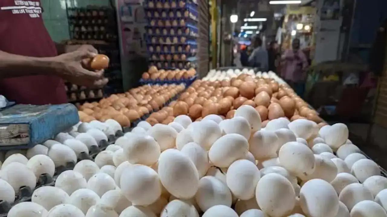 এক সপ্তাহে বৃদ্ধি ২০ টাকা, এক পিস ডিমের দাম কত বাড়ল কলকাতায়?