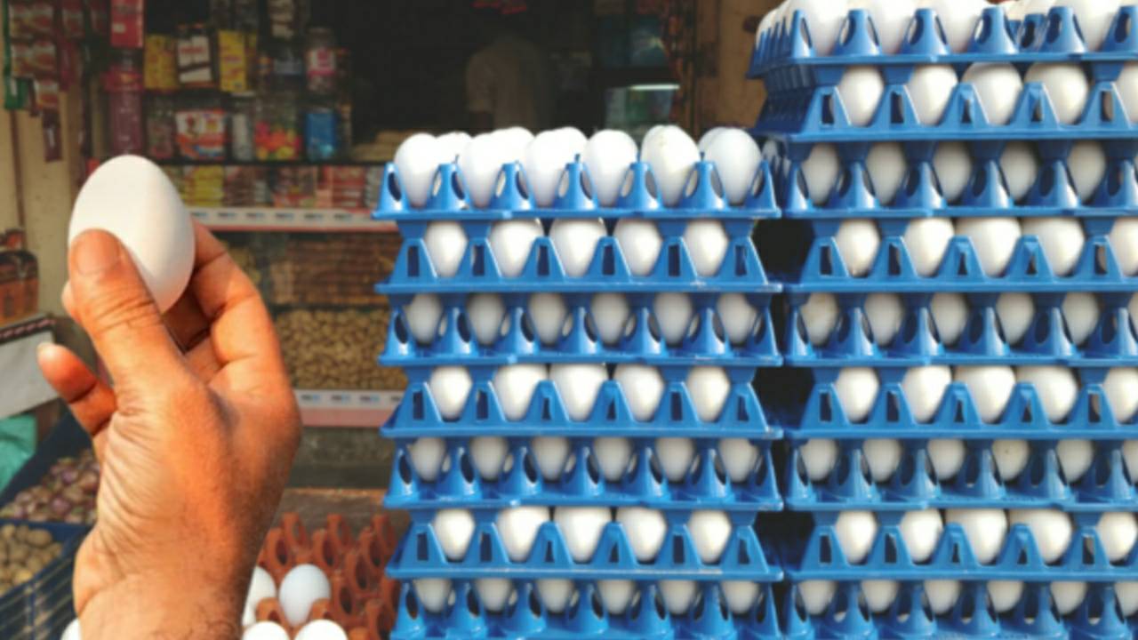 ফের ডিমের দামে উর্দ্ধগতি, কলকাতায় প্রতি পিস কত করে বিকোচ্ছে?