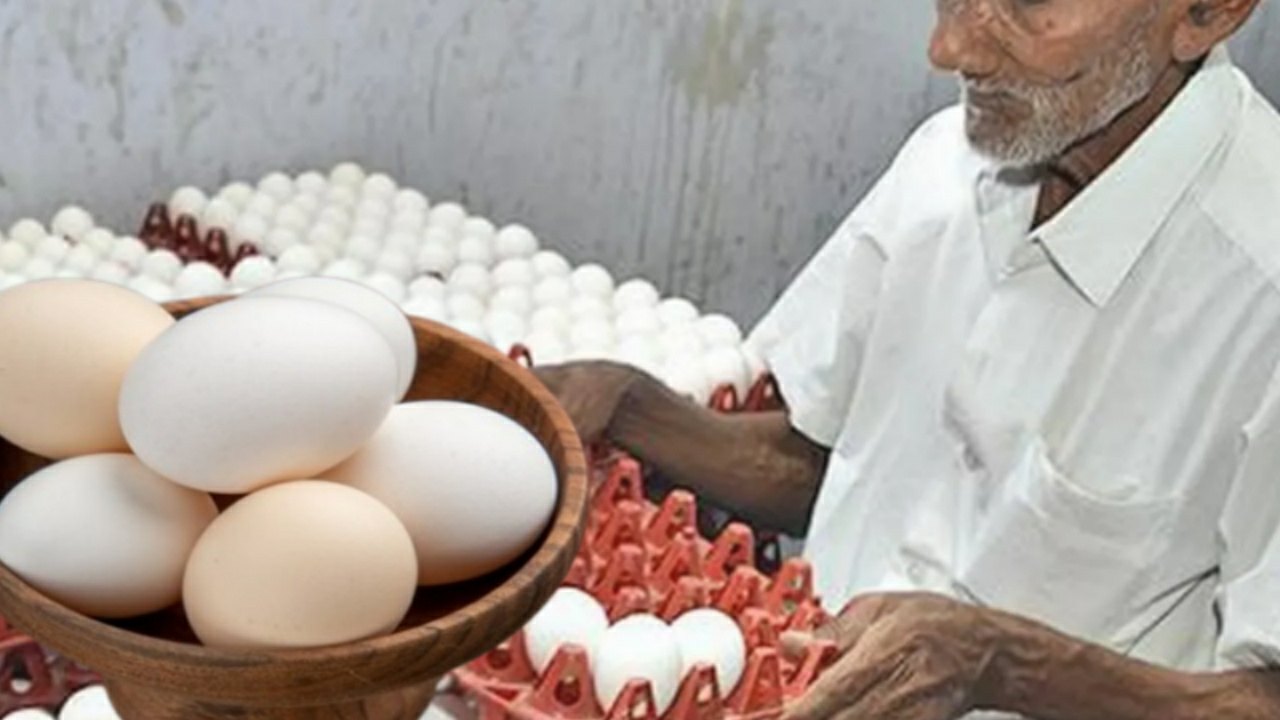 Eggs price hike in Kolkata