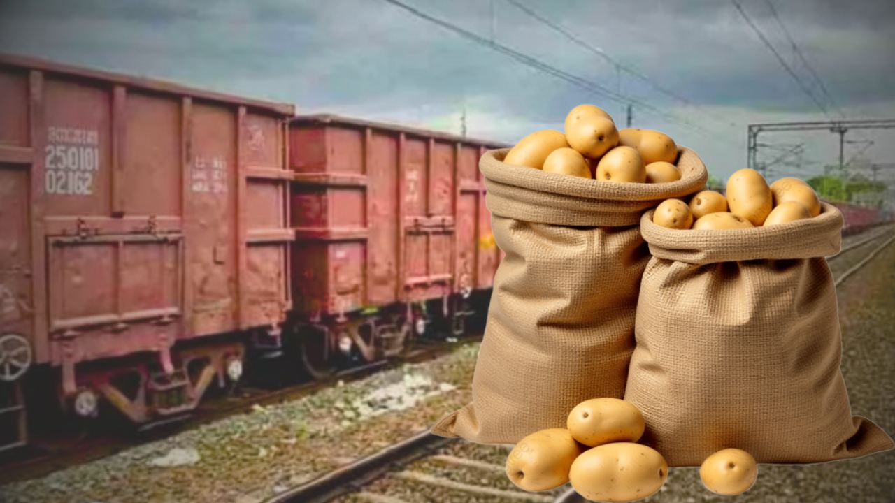 ভোটমুখী বাংলায় বড় পদক্ষেপ তৃণমূলের! ভিন রাজ্যে যাচ্ছে হাজার হাজার আলুর বস্তা