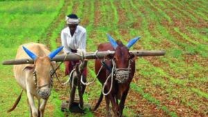 Krishak Bandhu portal state takes steps to prevent data leakage farmers' personal information 
