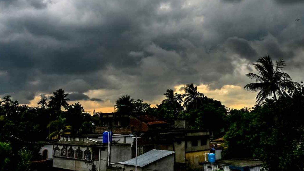 The Art of Baking: From Classic Bread to Artisan Pastries