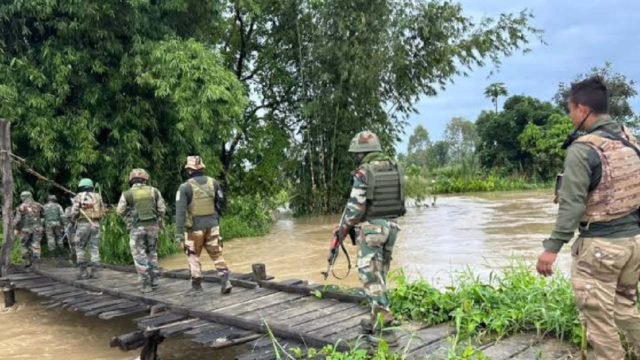 অনুপ্রবেশ রুখতে সরীসৃপের সাহায্য! সীমান্ত সুরক্ষায় কুমির-সাপ, কী পরিকল্পনা BSF-এর?