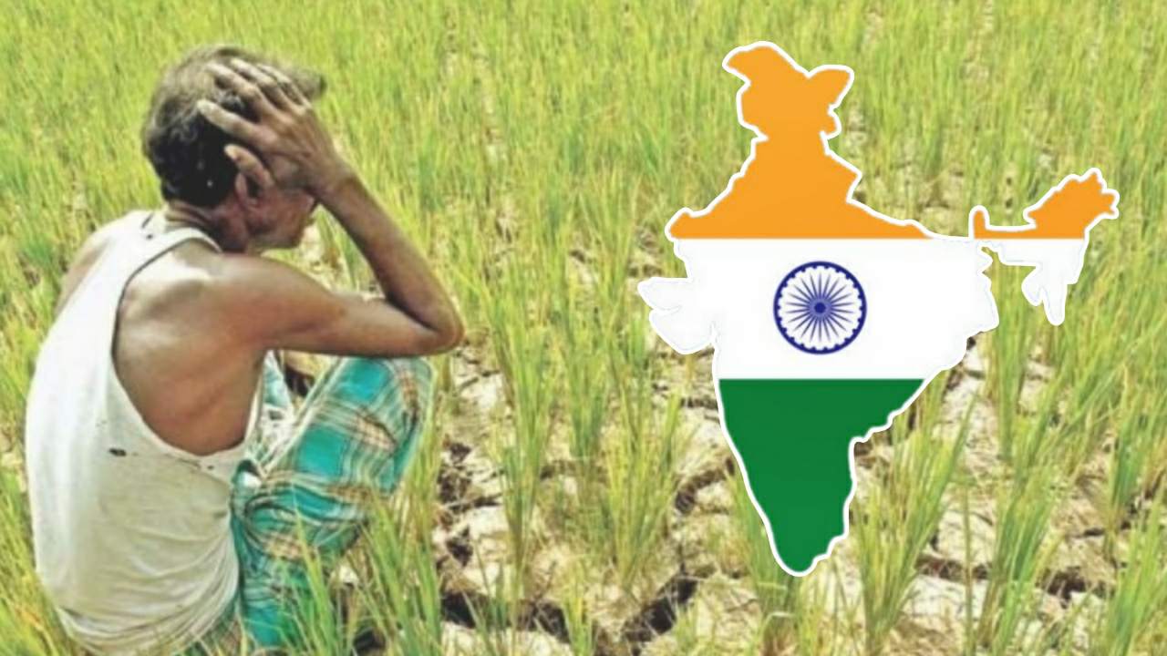 বেঁচে থাকার জন্য পর্যাপ্ত খাবার পাওয়াও দুষ্কর হয়ে উঠবে ভারতে! প্রকাশ ভয়াবহ সমীক্ষা