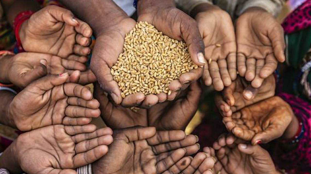 India may face food crisis due to global warming