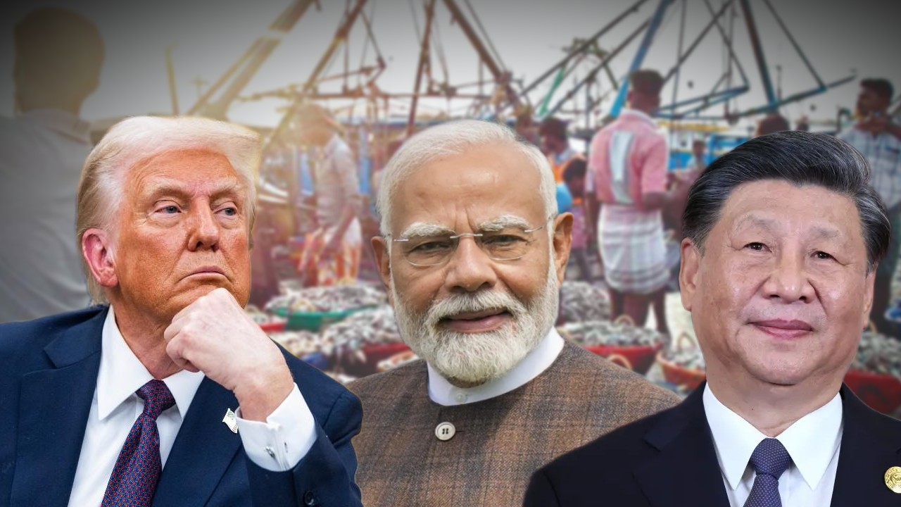 বিশ্ব অস্থিরতা পেরিয়েও রেকর্ড গড়ল ভারত, সি-ফুড রফতানিতে নতুন উচ্চতায় অর্থনীতি