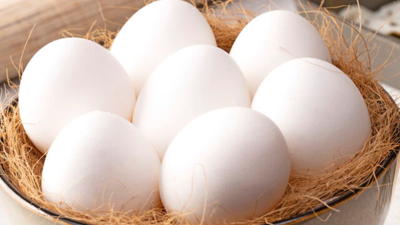 Rotten egg demand is high