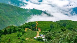 Travel a new surprise for Pedong this Beautiful village Is just nearby