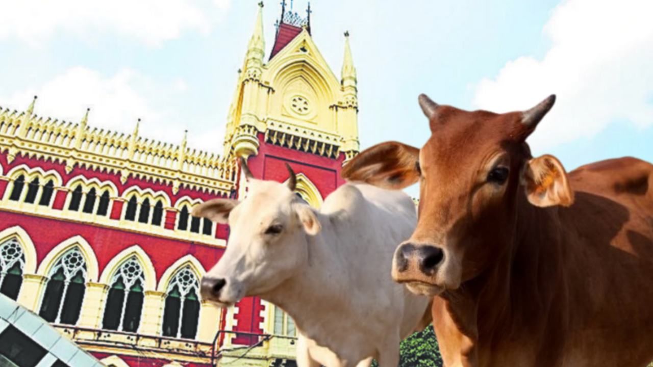উৎসবের জন্য বিশেষ ছাড়ের দাবি, পশুজবাই ইস্যুতে এবার হাইকোর্টের দ্বারস্থ তৃণমূল