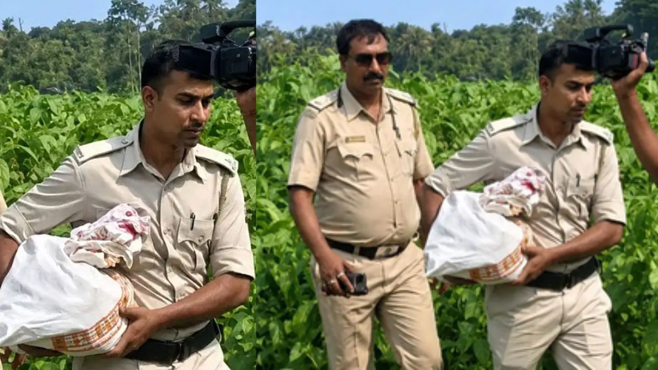 আনতে হল টাকা গোনার মেশিন! বাদুড়িয়ার পাটক্ষেত থেকে উদ্ধার কত কোটি?