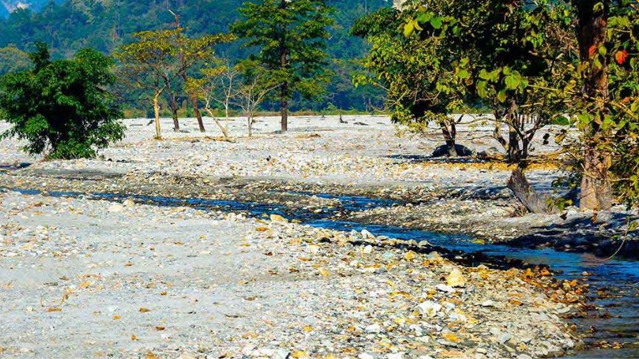 Travel this place in the Dooars is perfect for nature lovers