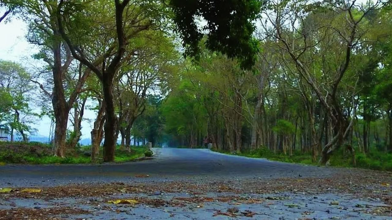 Travel visit this beautiful village in West Bengal