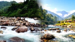 Travel this place in the Dooars is perfect for nature lovers