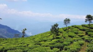 Travel lose yourself in a tranquil hilly setting pay a visit to Peshok